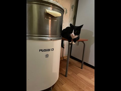 Видео: THE RELAXED! Звуки для сна и медитации! Стиральная машина Рига 13 - 1977г.