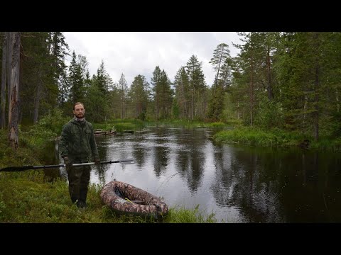 Видео: Север. Республика Карелия. Одиночный сплав по реке Волома (1 ЧАСТЬ)