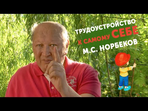 Видео: Трудоустройство к самому себе. М.С. Норбеков
