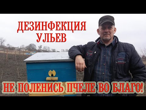 Видео: Дезинфекция ульев. Не поленись пчеле во благо! || Beehive disinfection.