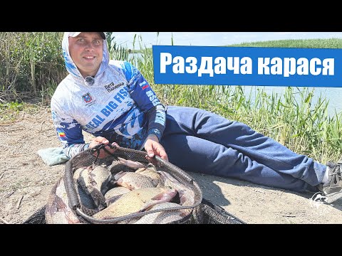 Видео: Раздача карася, Много поклевок. С фидером на реке Маныч.