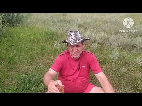 Видео: Селетинское водохранилище.Рыбалка и отдых с друзьями спустя 40 лет..