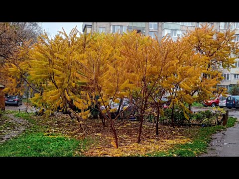 Видео: 🫣🙃 Будут ли от НЕГО действия в ВАШУ сторону ⁉️💥