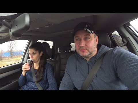 Видео: Шукач ТВ | Поиск скифских скульптур (1 часть). Запорожье Скифский стан