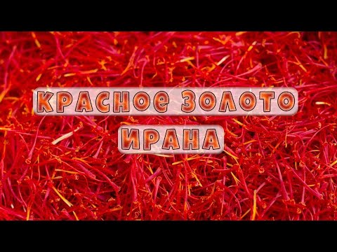 Видео: Красное золото Ирана - шафран 🌺🌺🌺