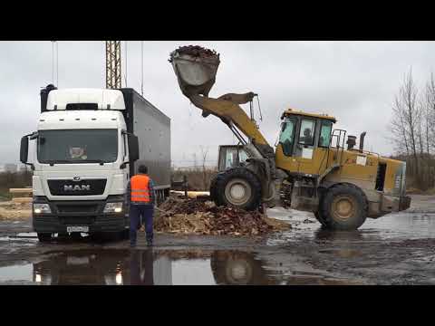 Видео: Мульча из сосновой коры - сырье для производства мульчи.