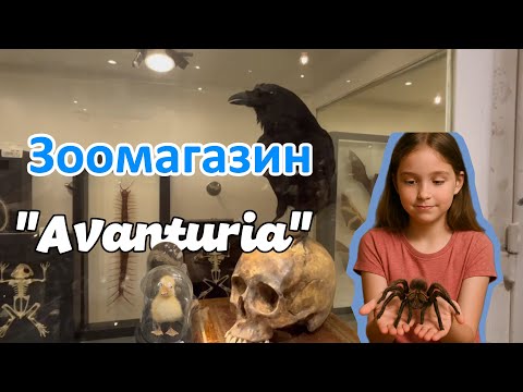 Видео: АВАНТЮРИЯ – самый большой зоомагазин Benelux, где мир приключений оживает.