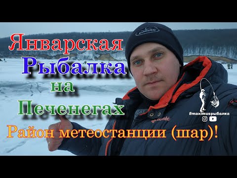 Видео: Январская рыбалка на Печенегах район метеостанции (шар)! #maximusрыбалка #рыбалка2021 #зимняярыбалка