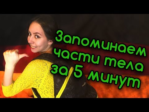 Видео: Как запомнить немецкие слова? Тема «Части тела». Часть 2. Уровень А1.