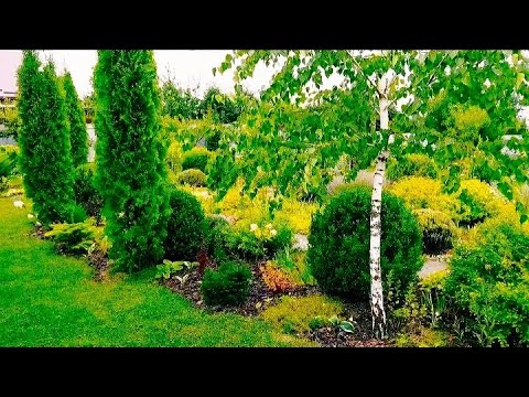 Видео: Мій садок в кінці серпня. Пропоную  рослини, мій моб.098-492-92-55 Людмила. #запрошую_умій_садок 