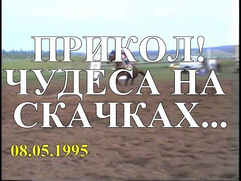 Видео: Прикол!!! Чудеса на скачках....