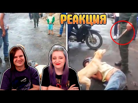 Видео: РЕАКЦИЯ НА Посмотрите, что Животные Делают Ради Людей! Это Растопит Ваше Сердце!