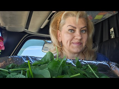 Видео: Хотите знать как меня муж любит?