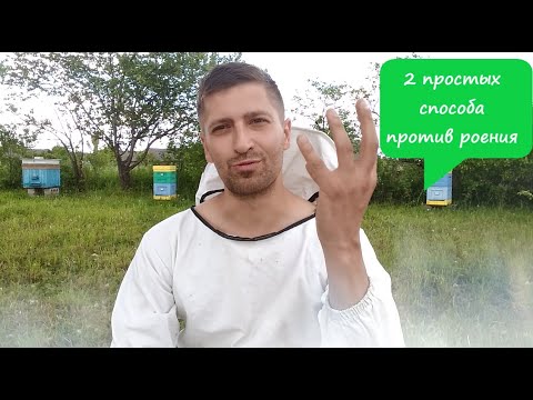 Видео: Роение пчёл, что делать? Два простых и эффективных способа против роения пчел.