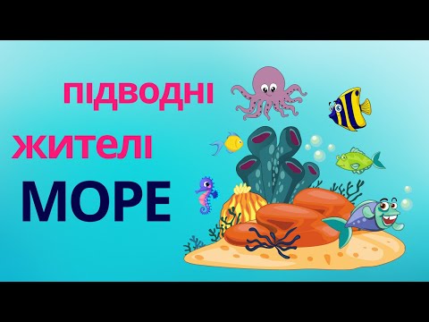 Видео: Морські мешканці. Веселі пригоди