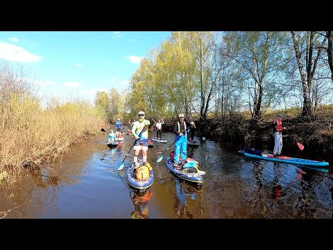 Видео: Прогулка на SUP по реке Цна 23042023