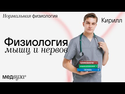 Видео: Физиология мышц и нервов | Физиология возбудимых тканей | Нормальная физиология