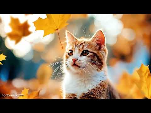 Видео: Осенняя Мелодия Любви 🍁 Три месяца я слушала только эту музыку. Слушайте и прочувствуйте эти мелодии