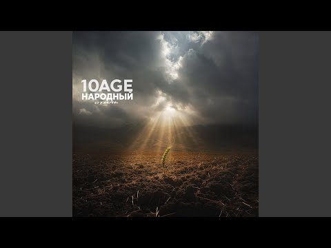 Видео: Полем