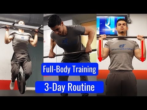 Видео: Полная 3-дневная программа для всего тела | День 1 снят