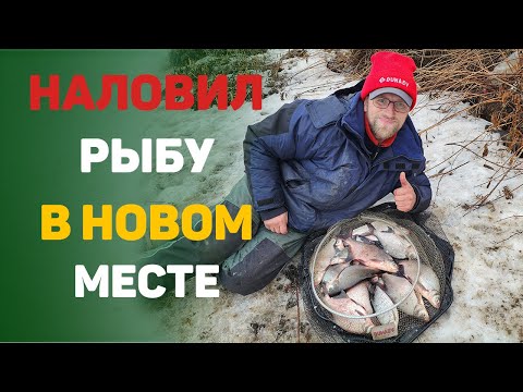 Видео: в поиске рыбы весной