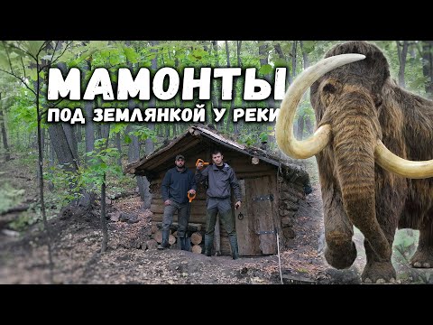Видео: ЗЕМЛЯНКА У РЕКИ спустя ГОД | Нашел кости МАМОНТОВОЙ фауны | Помогаю ПОХОДНОМУ ОПТИМИСТУ строить БАНЮ