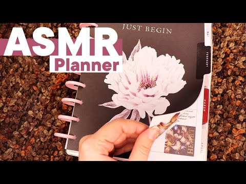 Видео: АСМР Оформляем ежедневник на февраль 2023. Читаю | ASMR My planer for February. Triggers.Flipping