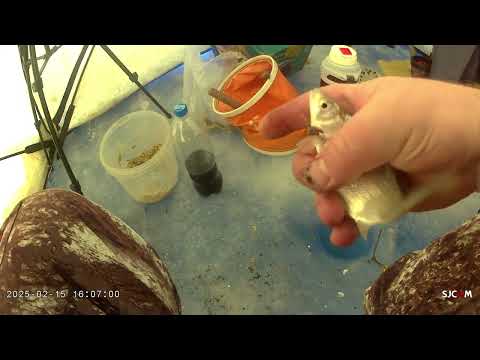 Видео: Рыбалка.Капчагай Скалы 15 февраля 2025