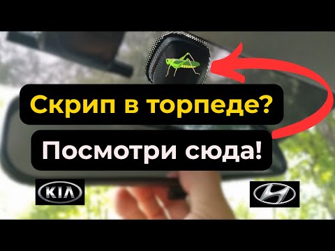 Видео: Как снять зеркало заднего вида и убрать скрип Kia/Hyundai
