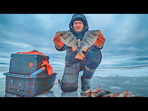 Видео: ПОПАЛ НА ВЕЧЕРНИЙ ВЫХОД В ТОРОСАХ!!! ЛОВЛЯ КРУПНОГО ОКУНЯ НА БАЛАНСИР! Зимняя рыбалка 2024. Часть 2.