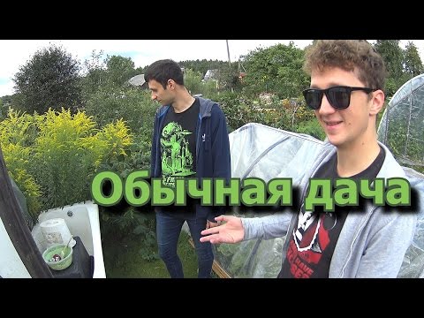 Видео: Жизнь в Литве. Обычная дача.