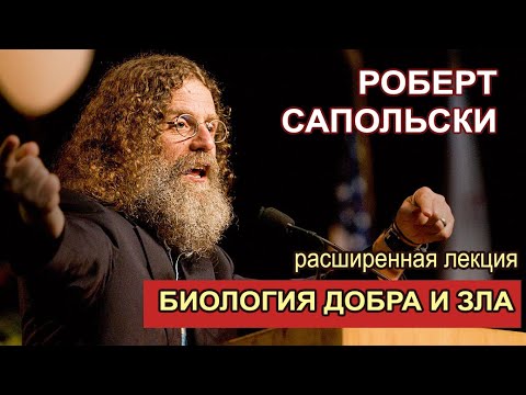 Видео: Роберт Сапольски - "Биология наших тёмных и светлых сторон" Расширенная лекция