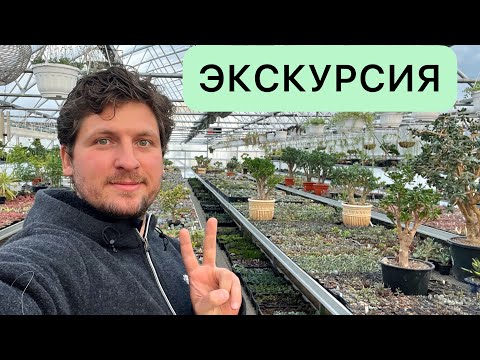 Видео: ЖИЗНЬ КОЛЛЕКЦИИ КАКТУСОВ И СУККУЛЕНТОВ В ТЕПЛИЦЕ В ПОДМОСКОВЬЕ 30.11.2022