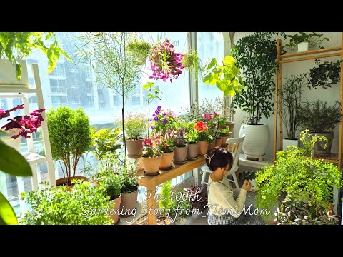 Видео: Вот 7 прекрасных весенних цветов, которые идеально подходят для выращивания в помещении.