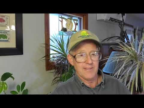 Видео: Хотите зарабатывать на овцах? Грег проводит годичный курс управленческой практики.