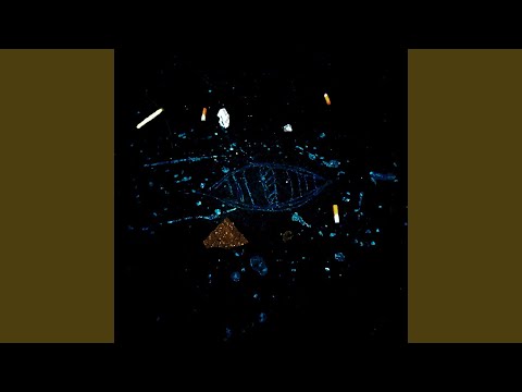 Видео: Собой