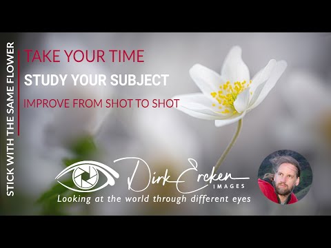 Видео: Придерживайтесь одного и того же цветка