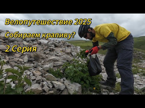 Видео: 2. Велопутешествие 2025 Собираем крапиву. Едем дальше?