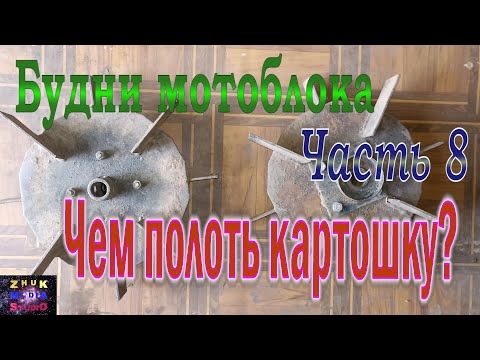 Видео: Чем полоть картошку Будни мотоблока 8