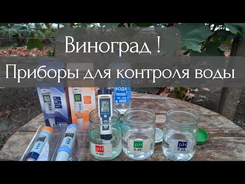 Видео: Твой виноград погибнет без этих приборов !  Калибровка pH meter с Китая