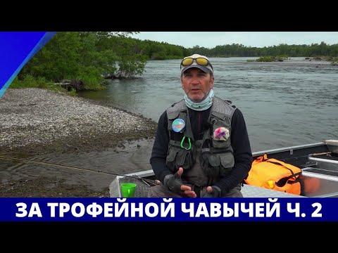 Видео: За трофейной чавычей, часть 2 // География нахлыста