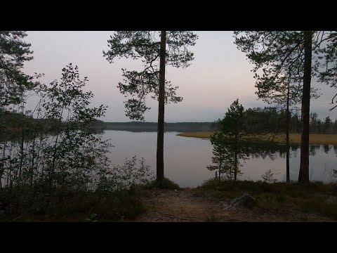 Видео: Рыбалка на таёжном озере в Карелии в сентябре. День второй.