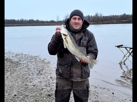 Видео: ОСЕННИЙ СУДАК. ЧАСТЬ 1.