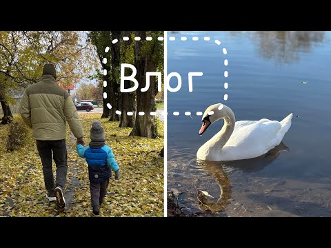 Видео: Встреча с Мишей после разлуки ❤️ Осень в городе 🍁