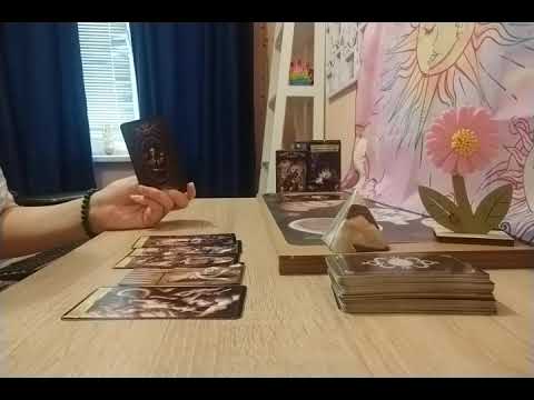 Видео: Чему завидуют? 😲🙈🔥