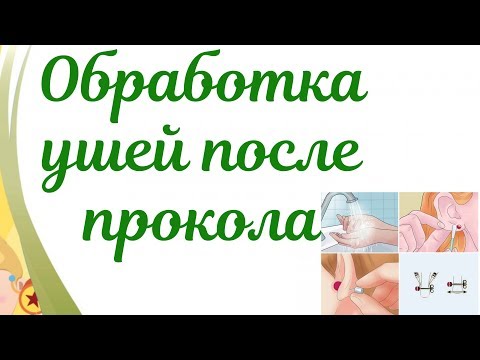 Видео: Чем обрабатывать уши после прокола? Алгоритм обработки ушей,воспаление.