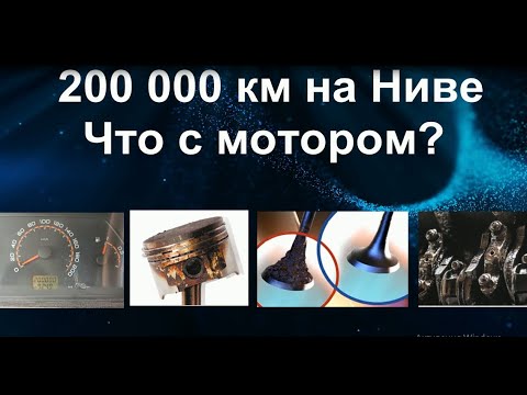 Видео: Что с мотором НИВЫ за 200 000 км пробега. Отзыв, аналитика.