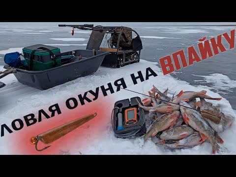 Видео: Ловля окуня на блесну впайку. Зимняя рыбалка на Ладоге. Всю зиму окунь стоит в одном месте.