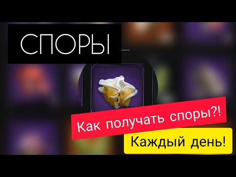 Видео: СПОРЫ! Где и как собирать? Ежедневное пополнение! The Ants: Underground Kingdom