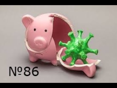 Видео: №86 | ИНФЕКЦИЯ у свиней и ДЕЗИНФЕКЦИЯ свинарника.